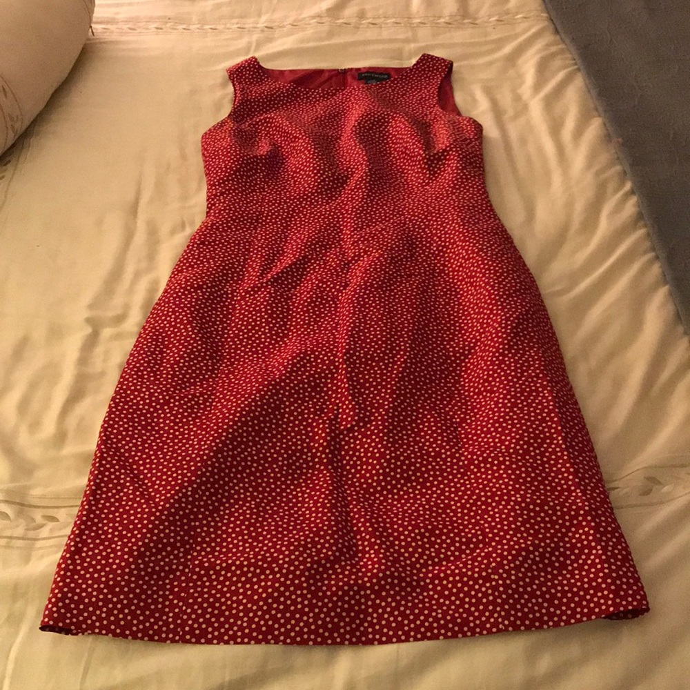 Cute Ann Taylor Dress